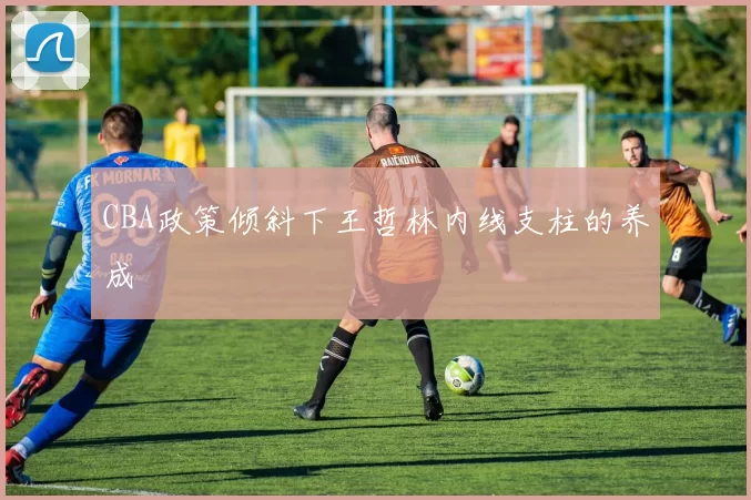 CBA政策倾斜下王哲林内线支柱的养成