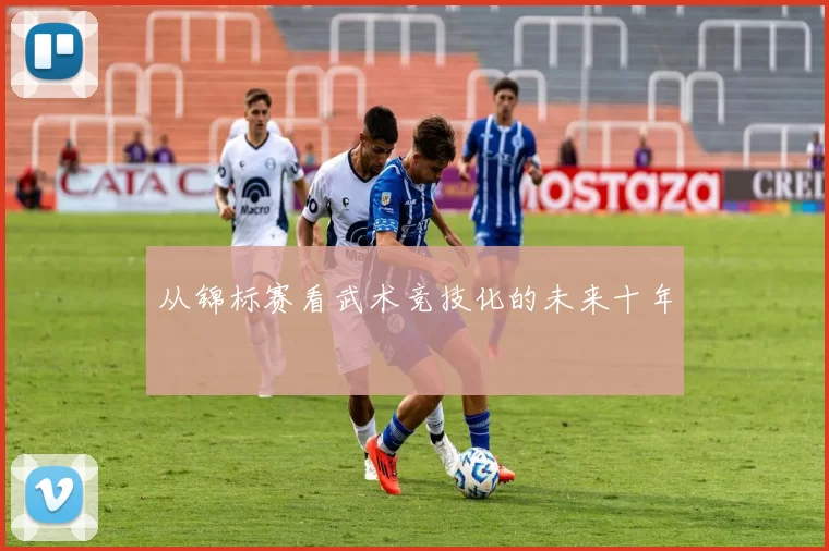从锦标赛看武术竞技化的未来十年