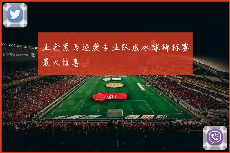业余黑马逆袭专业队成冰球锦标赛最大惊喜